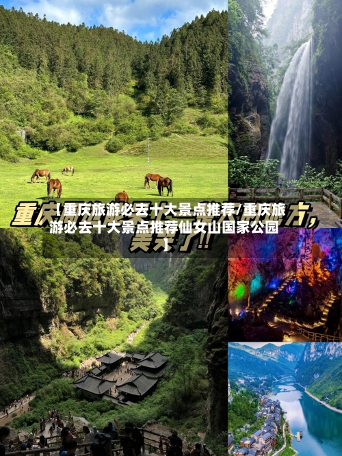 【重庆旅游必去十大景点推荐/重庆旅游必去十大景点推荐仙女山国家公园】