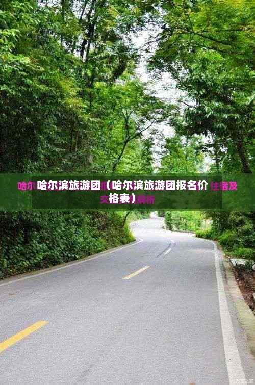 哈尔滨旅游团（哈尔滨旅游团报名价格表）