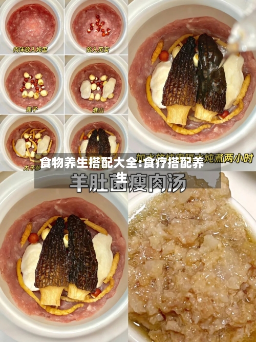 食物养生搭配大全:食疗搭配养生