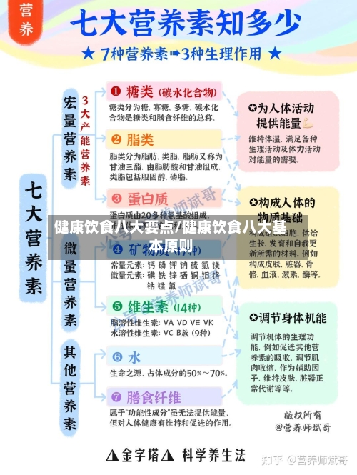 健康饮食八大要点/健康饮食八大基本原则