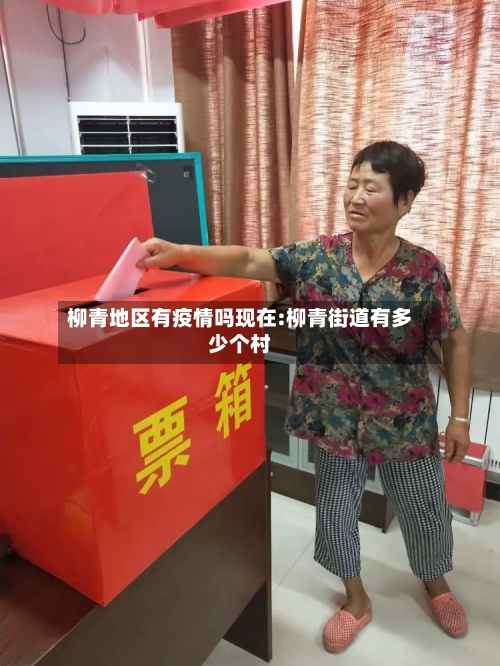 柳青地区有疫情吗现在:柳青街道有多少个村-第1张图片