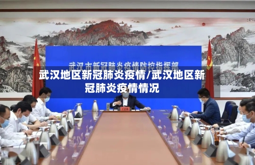 武汉地区新冠肺炎疫情/武汉地区新冠肺炎疫情情况