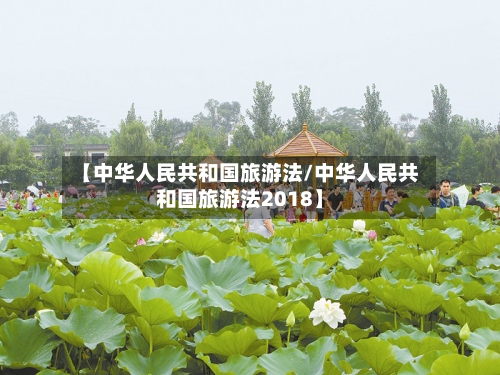 【中华人民共和国旅游法/中华人民共和国旅游法2018】