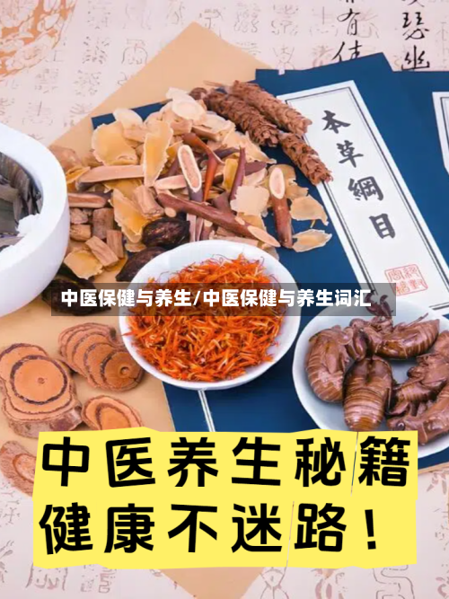 中医保健与养生/中医保健与养生词汇