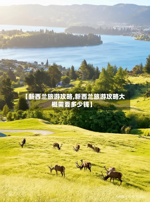 【新西兰旅游攻略,新西兰旅游攻略大概需要多少钱】-第1张图片