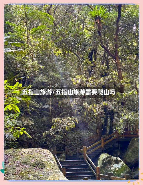 五指山旅游/五指山旅游需要爬山吗