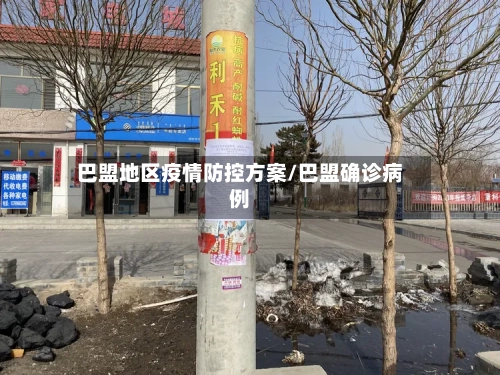 巴盟地区疫情防控方案/巴盟确诊病例