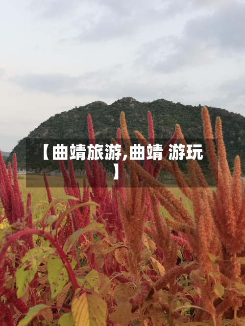 【曲靖旅游,曲靖 游玩】