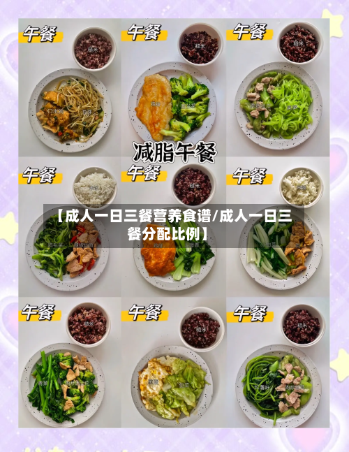 【成人一日三餐营养食谱/成人一日三餐分配比例】