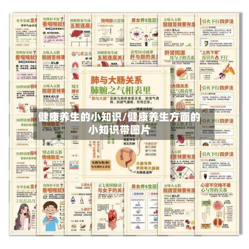 健康养生的小知识/健康养生方面的小知识带图片