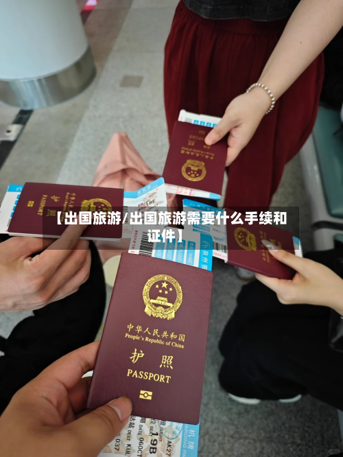 【出国旅游/出国旅游需要什么手续和证件】