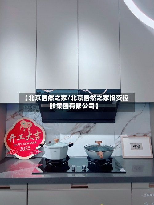 【北京居然之家/北京居然之家投资控股集团有限公司】
