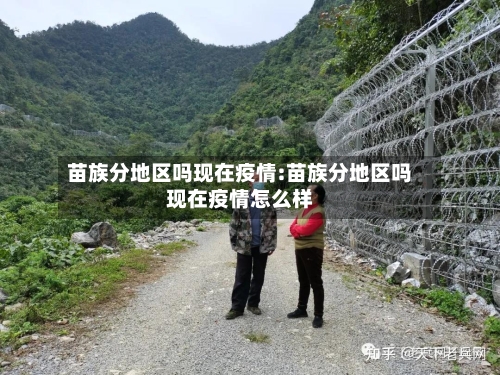 苗族分地区吗现在疫情:苗族分地区吗现在疫情怎么样