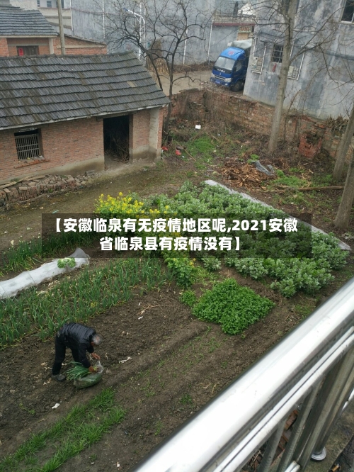 【安徽临泉有无疫情地区呢,2021安徽省临泉县有疫情没有】
