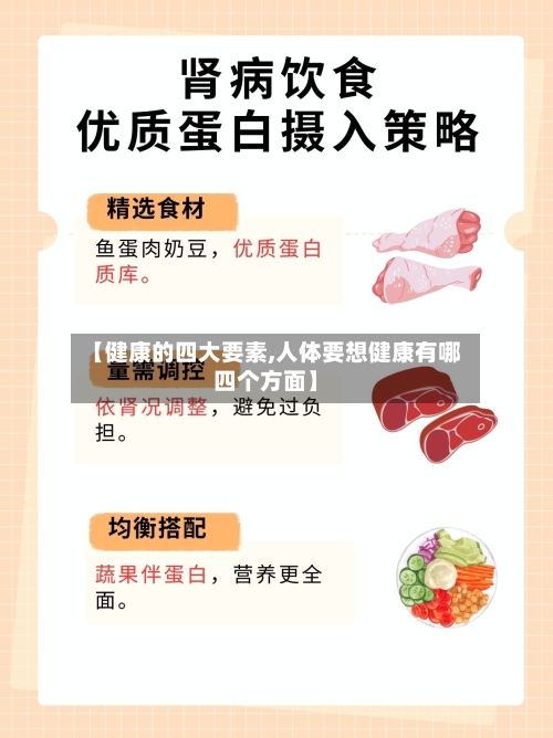 【健康的四大要素,人体要想健康有哪四个方面】
