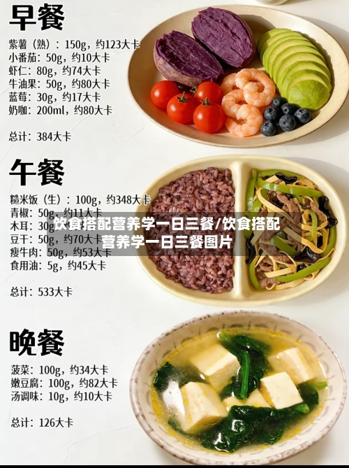 饮食搭配营养学一日三餐/饮食搭配营养学一日三餐图片-第1张图片