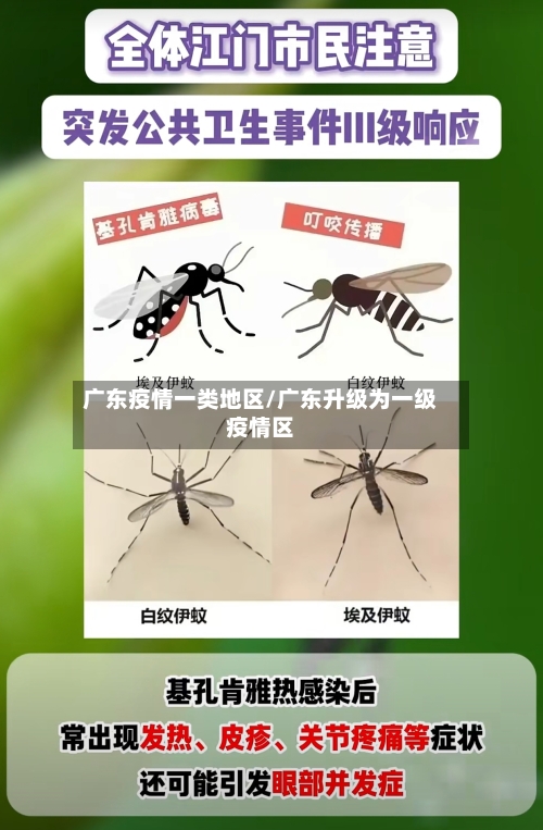 广东疫情一类地区/广东升级为一级疫情区-第1张图片