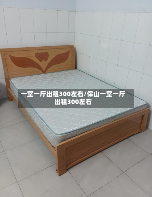一室一厅出租300左右/保山一室一厅出租300左右