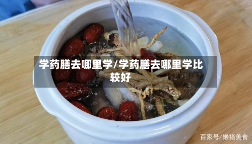 学药膳去哪里学/学药膳去哪里学比较好-第1张图片