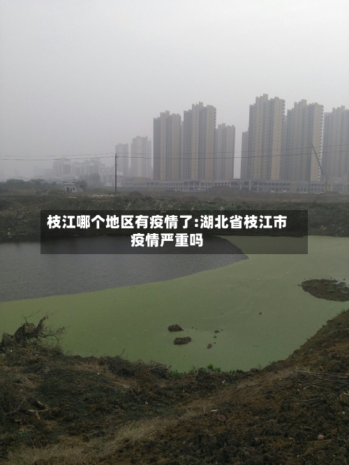 枝江哪个地区有疫情了:湖北省枝江市疫情严重吗