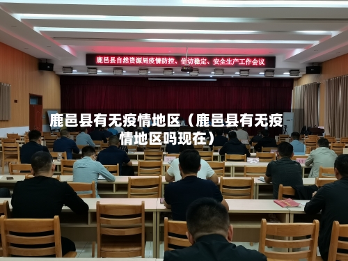 鹿邑县有无疫情地区（鹿邑县有无疫情地区吗现在）