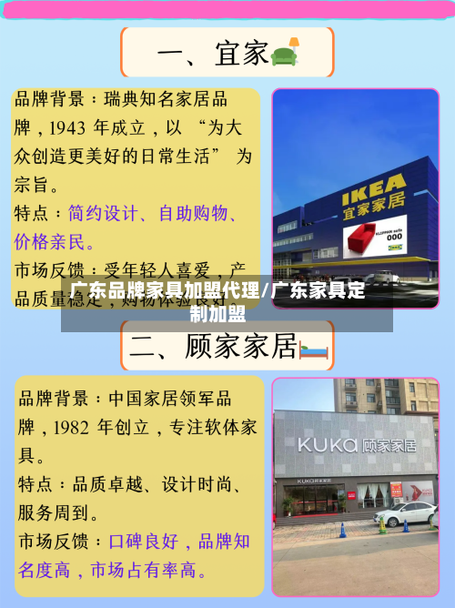广东品牌家具加盟代理/广东家具定制加盟