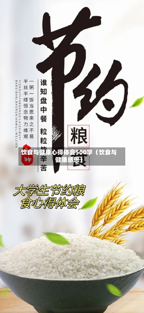 饮食与健康心得体会500字（饮食与健康感想）