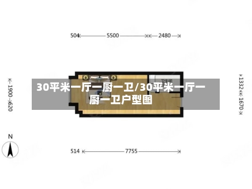 30平米一厅一厨一卫/30平米一厅一厨一卫户型图
