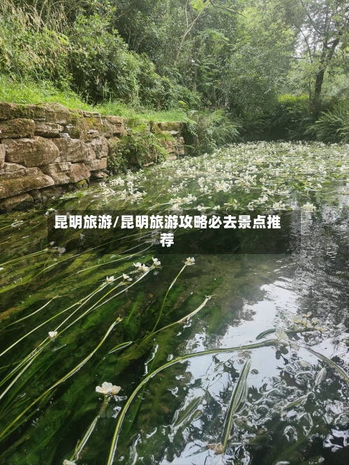 昆明旅游/昆明旅游攻略必去景点推荐