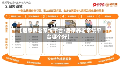 【居家养老系统平台/居家养老系统平台哪个好】