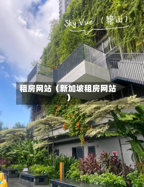 租房网站（新加坡租房网站）