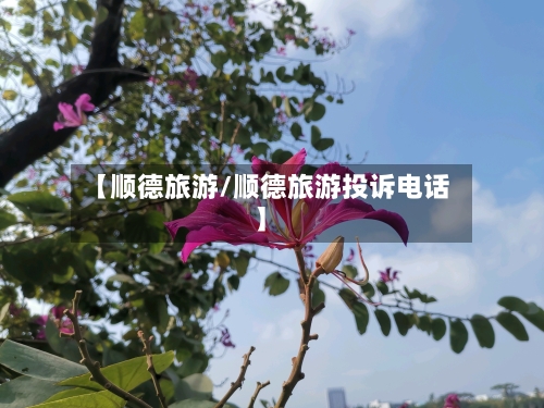 【顺德旅游/顺德旅游投诉电话】