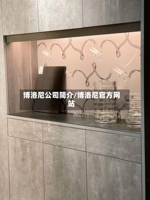 博洛尼公司简介/博洛尼官方网站