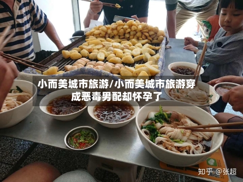小而美城市旅游/小而美城市旅游穿成恶毒男配却怀孕了