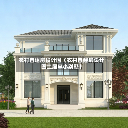 农村自建房设计图（农村自建房设计图二层半小别墅）
