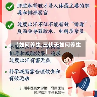 【如何养生,三伏天如何养生】