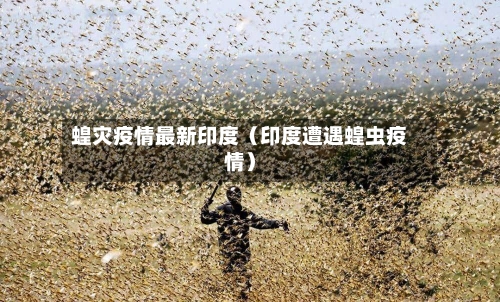蝗灾疫情最新印度（印度遭遇蝗虫疫情）