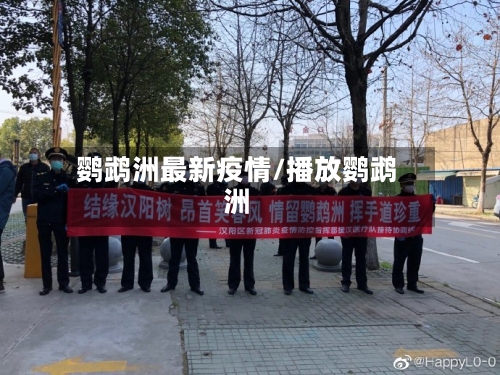 鹦鹉洲最新疫情/播放鹦鹉洲