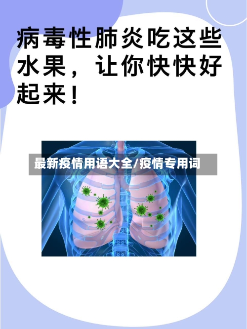 最新疫情用语大全/疫情专用词