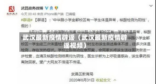 武汉最新疫情辟谣（武汉最新疫情辟谣视频）