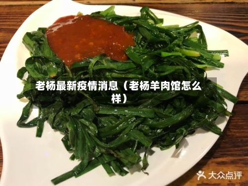 老杨最新疫情消息（老杨羊肉馆怎么样）