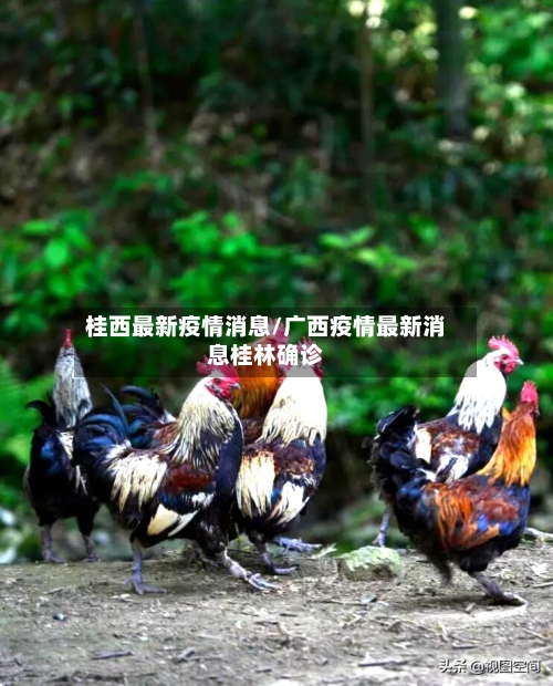 桂西最新疫情消息/广西疫情最新消息桂林确诊