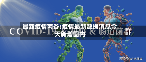 最新疫情丙谷:疫情最新数据消息今天新增国内