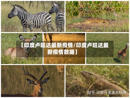 【印度卢旺达最新疫情/印度卢旺达最新疫情数据】-第1张图片
