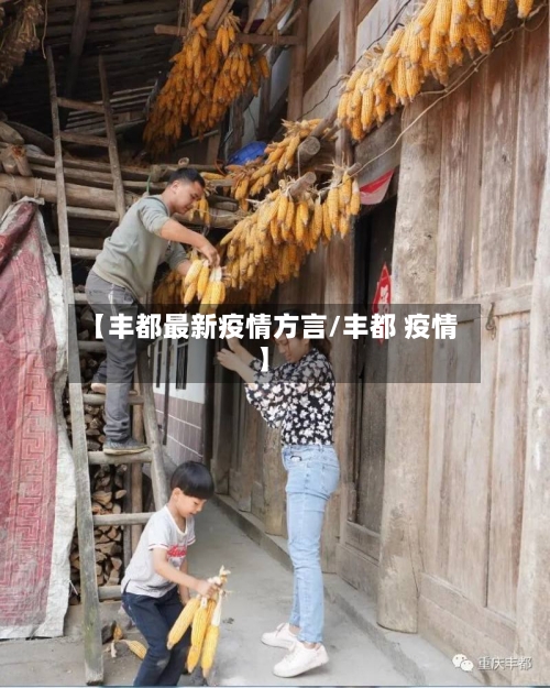【丰都最新疫情方言/丰都 疫情】-第1张图片