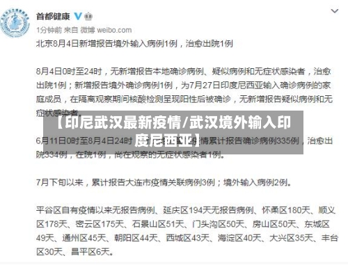 【印尼武汉最新疫情/武汉境外输入印度尼西亚】-第1张图片