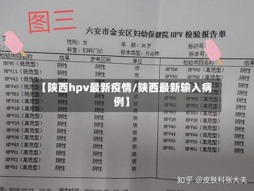 【陕西hpv最新疫情/陕西最新输入病例】