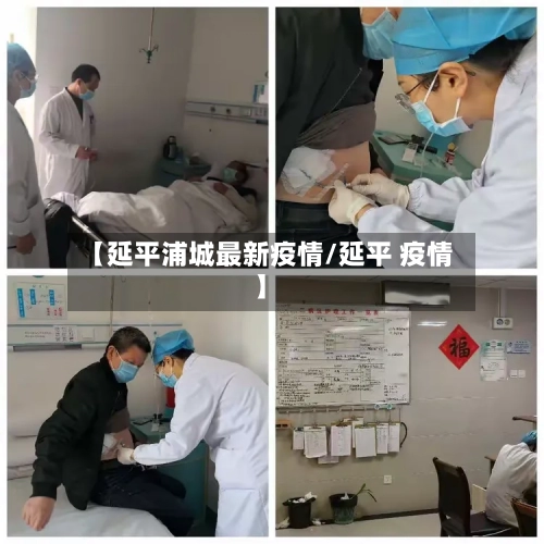 【延平浦城最新疫情/延平 疫情】