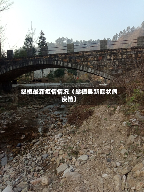 桑植最新疫情情况（桑植县新冠状病疫情）