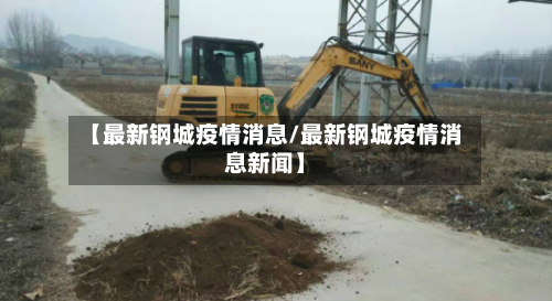 【最新钢城疫情消息/最新钢城疫情消息新闻】